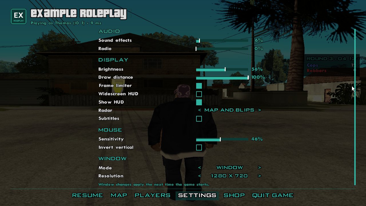 The pause menu's settings in a server's colours